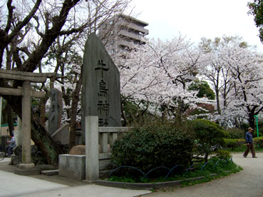 d0080566_1945307.jpg