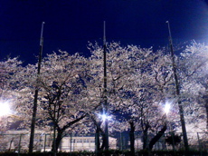 c0123679_1381058.jpg