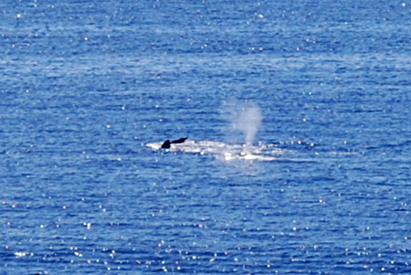 e0019280_1532412.jpg