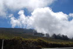 e0019280_1564826.jpg