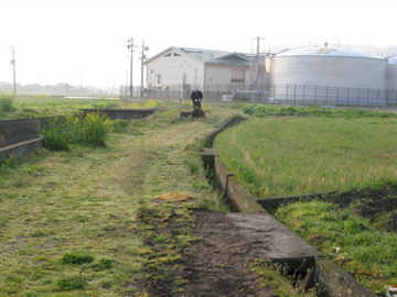 d0137083_22495574.jpg