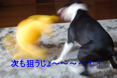 c0092787_10191147.jpg