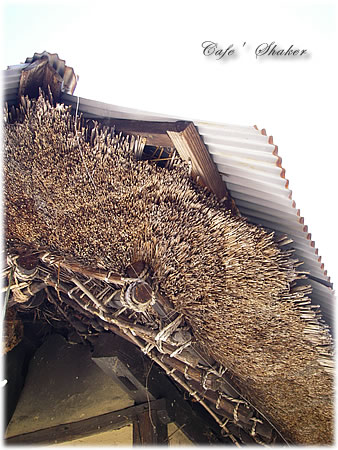 e0138787_17493111.jpg