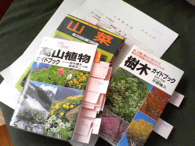 a0007388_9282532.jpg