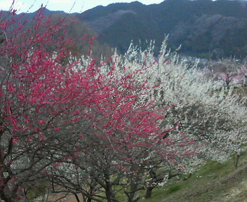 f0018790_17494637.jpg
