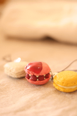d0100192_19544976.gif