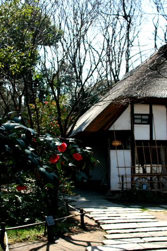f0093592_22472682.jpg
