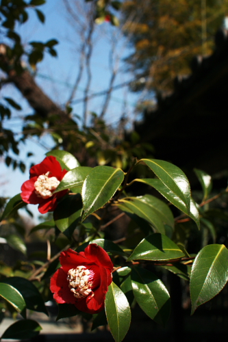 f0093592_22474946.jpg