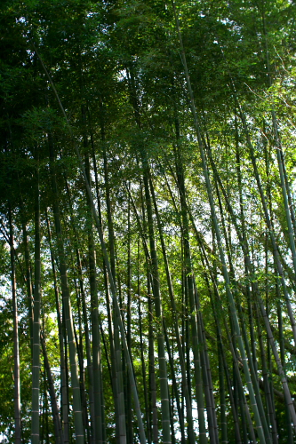 f0093592_22495879.jpg