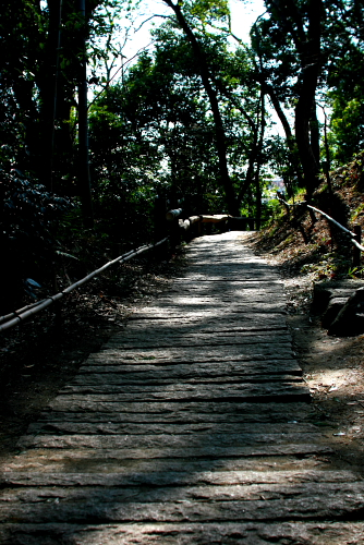 f0093592_22501993.jpg
