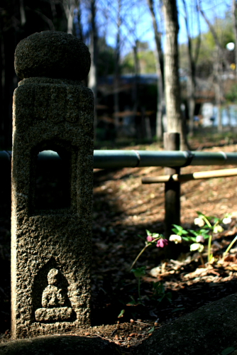 f0093592_22505728.jpg