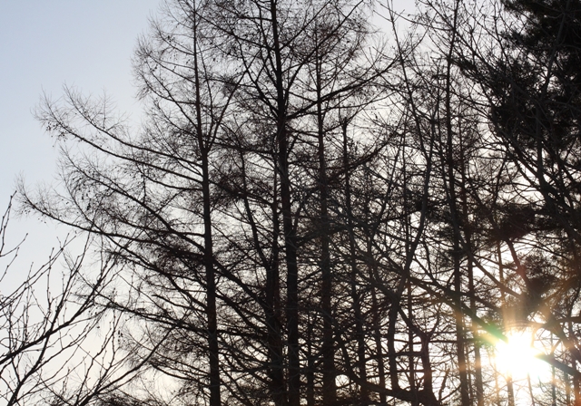 c0118496_2115667.jpg