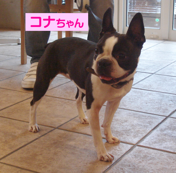 c0094999_235044.jpg