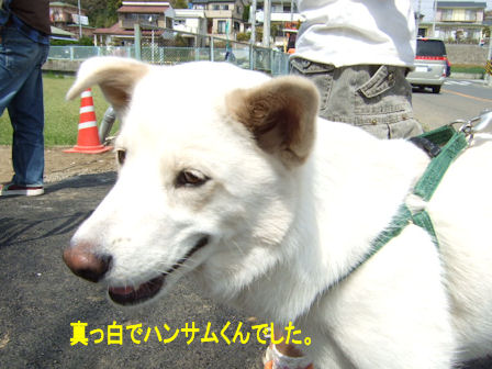 b0087400_23461429.jpg