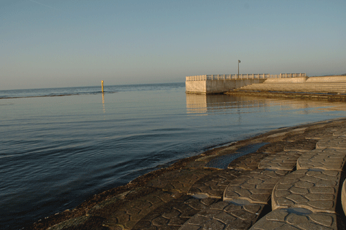 e0050801_055316.gif