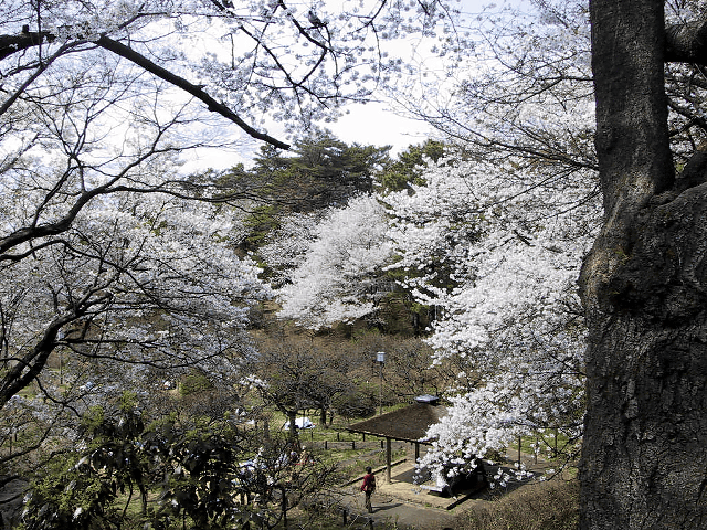 a0006605_23173588.gif