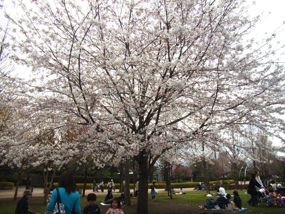 a0058605_14241615.jpg