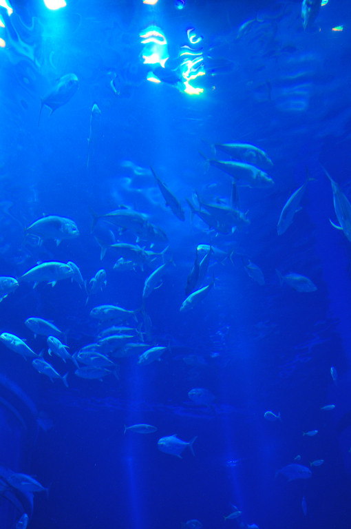 d0119505_705593.jpg
