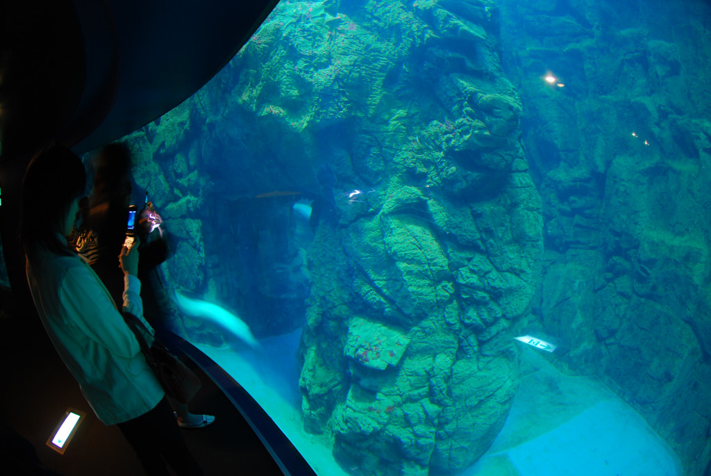 d0119505_713897.jpg