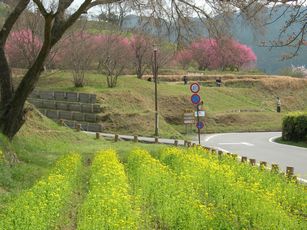 c0149408_1413428.jpg