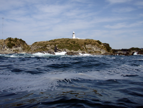 b0117718_1855519.jpg