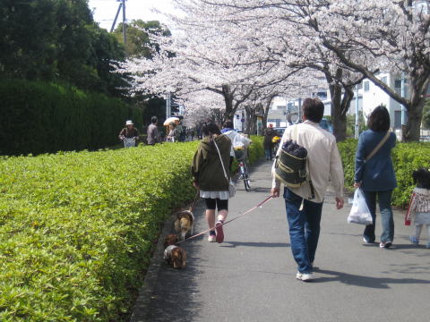 a0037322_1612353.jpg