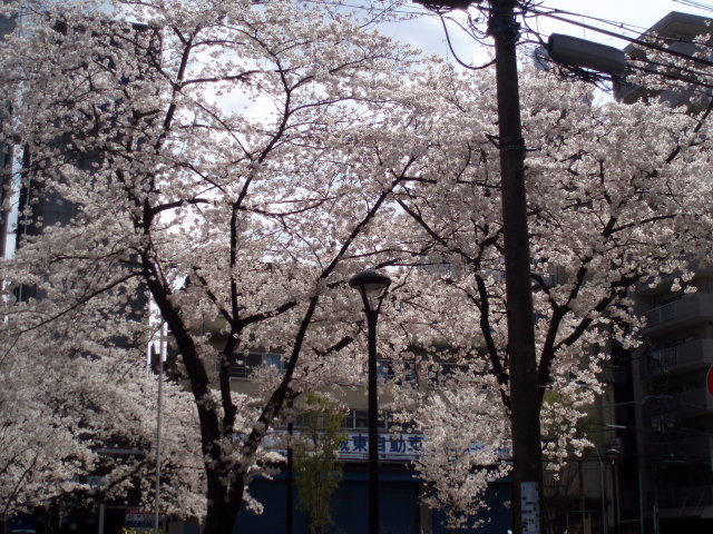 f0057324_18102723.jpg