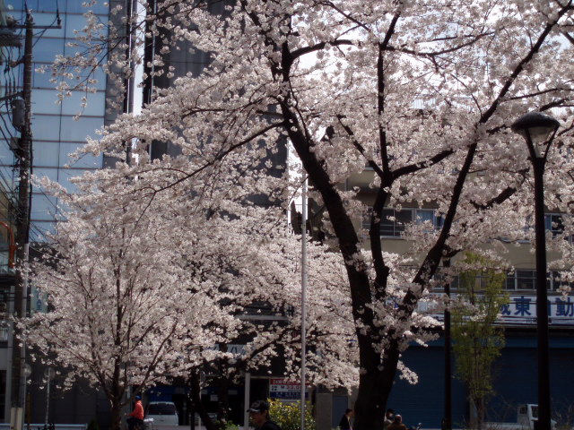 f0057324_1810435.jpg