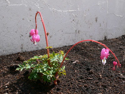 f0061334_2146540.jpg