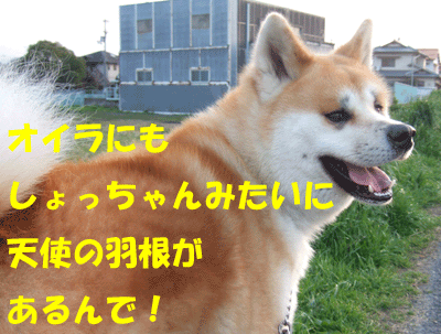 f0008935_14562198.gif
