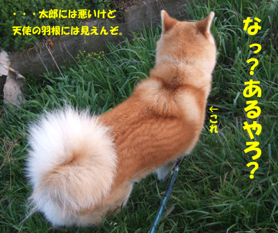 f0008935_14563760.gif