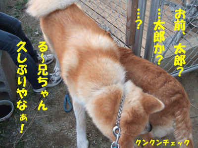 f0008935_1503025.gif
