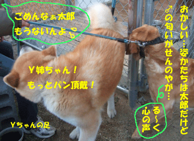 f0008935_1521391.gif