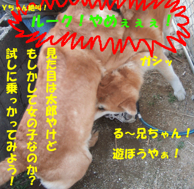 f0008935_1522916.gif