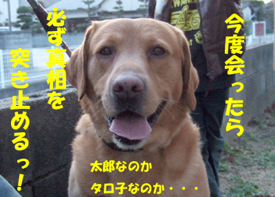 f0008935_152432.gif