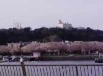 a0013236_18261143.jpg