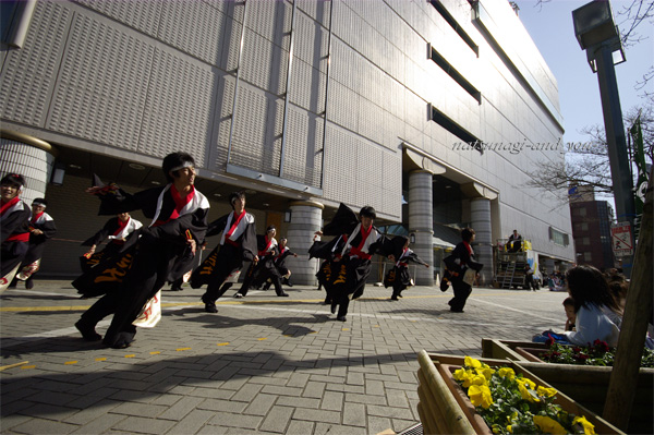 c0121738_763790.jpg