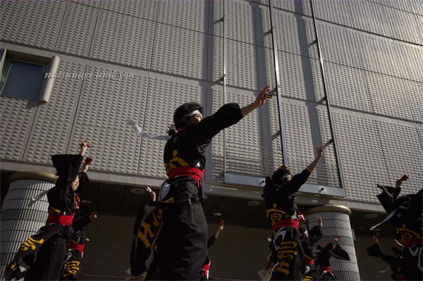 c0121738_77942.jpg