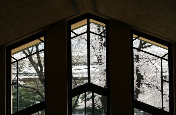 f0157538_0344456.jpg