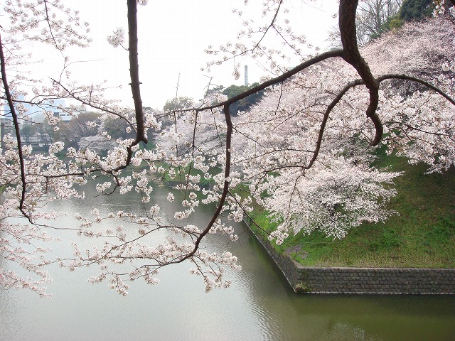 a0046339_20445759.jpg
