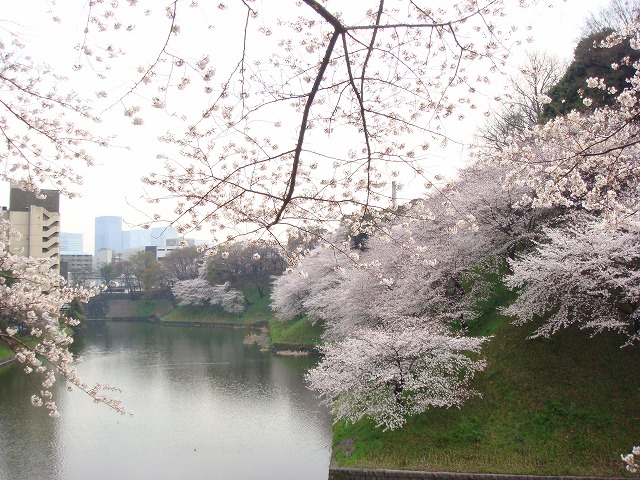a0046339_20451488.jpg
