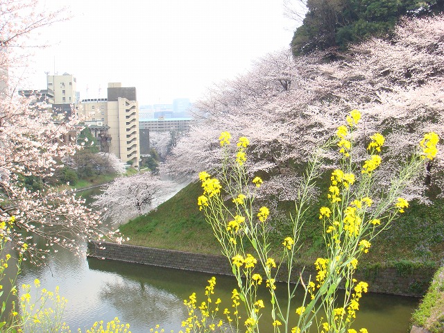 a0046339_20453990.jpg