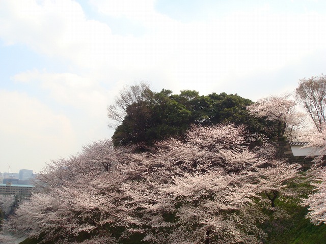 a0046339_20455296.jpg