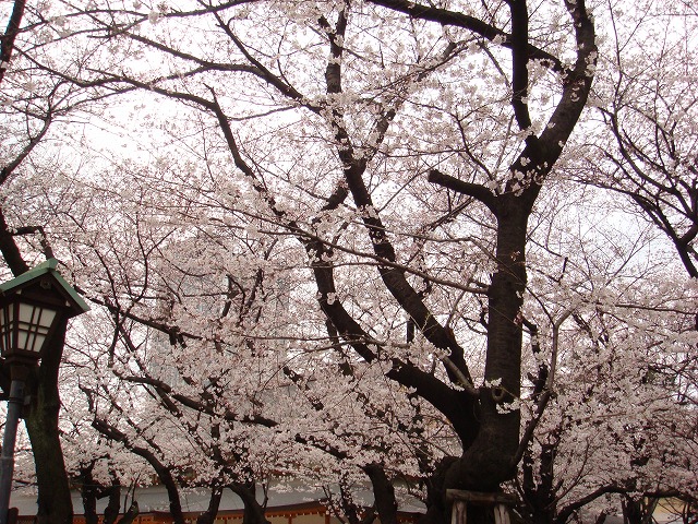 a0046339_2117425.jpg