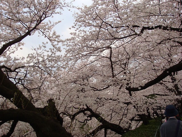a0046339_21222886.jpg