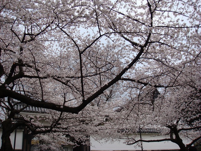 a0046339_2124548.jpg