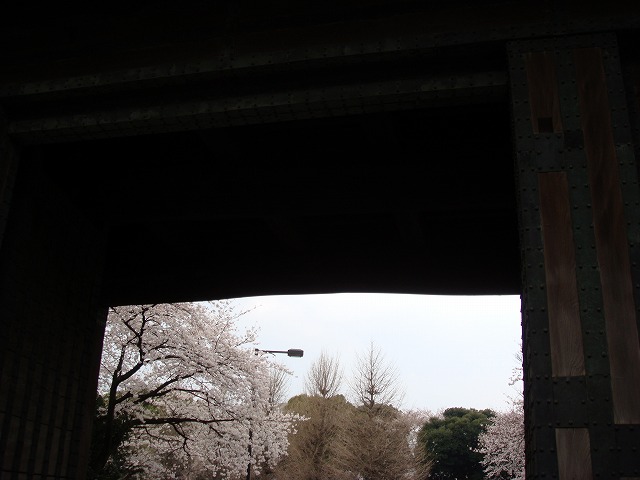 a0046339_21272546.jpg