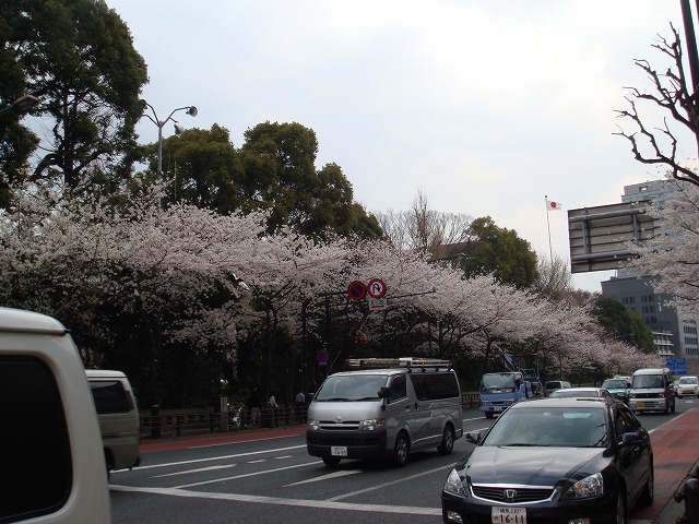 a0046339_2171959.jpg
