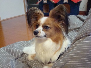 c0153740_19442092.jpg