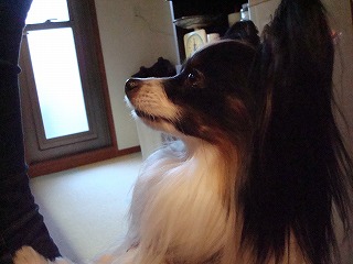 c0153740_19472791.jpg